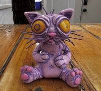 Image 3 of Tweaker cat