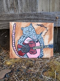 Image 6 of Possum Playing Resonator Guitar 