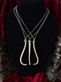Image 2 of Raccoon Baculum - Necklace 