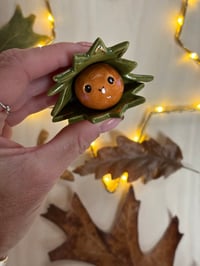 Image 4 of Adorable cute conker 