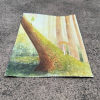 Image 5 of “Begets”