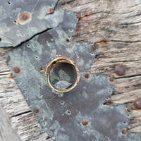 Image 3 of Lemon Flow, US 8