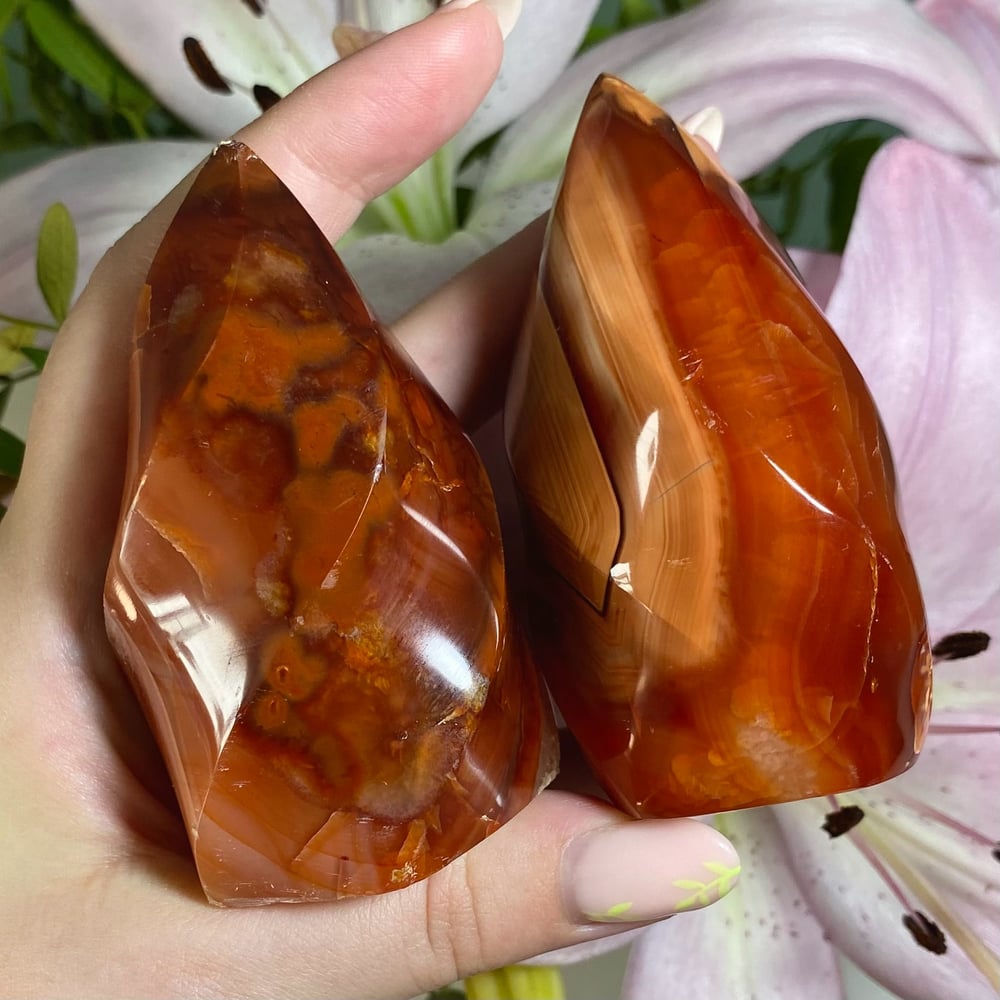 Image of Carnelian Flame