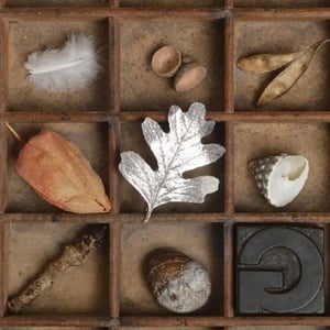 Image of G&S Hawthorn Brooch