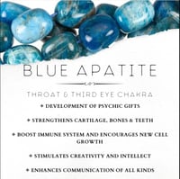 Image 2 of Blue Appetite 