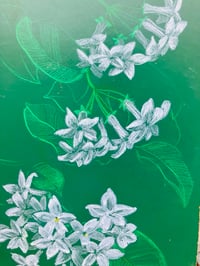 Image 1 of 🌿“Madagascar Jasmine”- Original Botanical Drawing