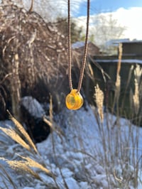 Image 4 of Hove Amber cup pendant 