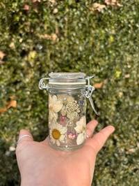 Image 2 of Winter Solstice 