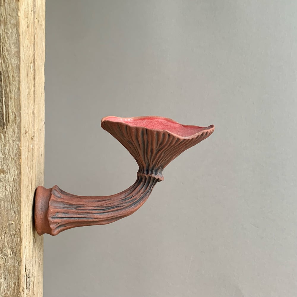 Image of Red Wall Mushroom 