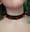 Image of Dracula's Fang