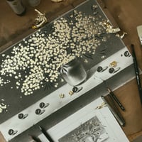 Image 4 of ACACIA DEALBATA & MARBLES