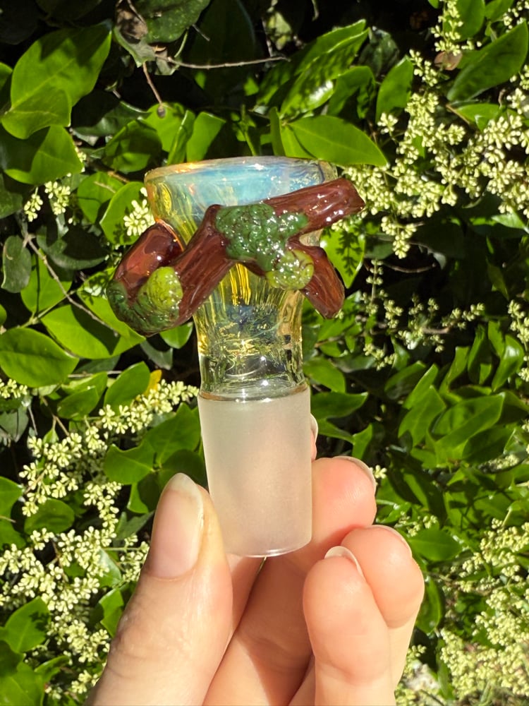 Image of Fantasy Forest 18 mm Slide  #1