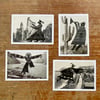 Set of 4 A6 Postcard Drawings Prints 
