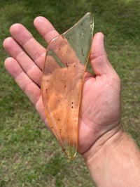 Image 25 of Copal Amber With Preserved Insects #2357