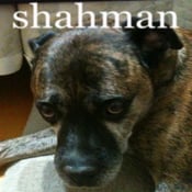 Image of Shahman - Who Am I? 7"