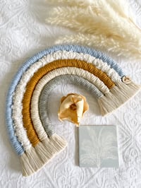 Image 3 of Peter Rabbit Standard Rainbow 