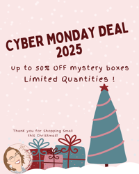 Image 1 of 50% OFF Small Mystery Box: Christmas Themed