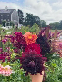 Image 2 of DAHLIA DAYS TICKETS