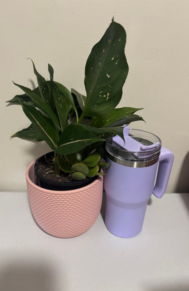 Candy Tumbler