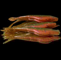Flukes in Blue gill. (10pc) 