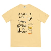 Image 8 of please i will be normal in 15 minutes
