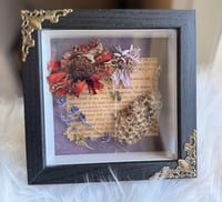 Image 2 of The Last Harvest