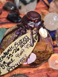 Image 4 of Custom Spell Jars