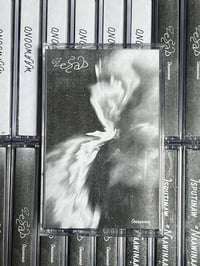 Zesab - Ondaanimad CS