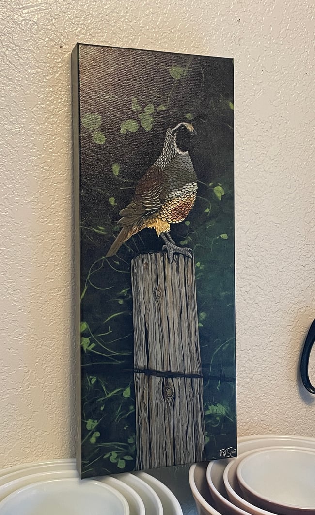 California Quail Wrapped Canvas Print