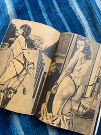 Image 5 of SM Phoenix Bondage Mag, May 1982