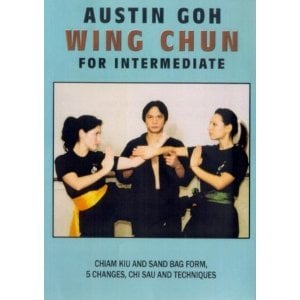 Image of Wing Chun for Intermediate
