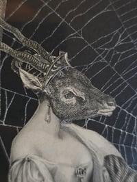 Image 3 of Antique Occult collection with preserved web 