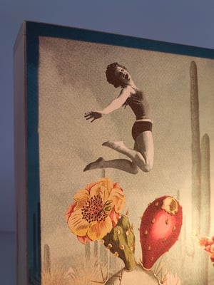 Image of Saltadores de Cactus.