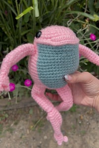 Pink Frog 