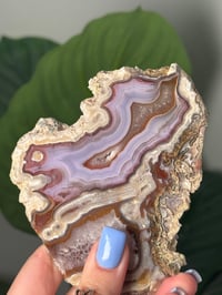 Image 3 of DOUBLE SIDED LAGUNA AGATE SLICE B WITH PARALAX