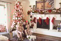 Image 2 of Coming home for Christmas