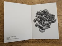 Image 2 of Fungi Vol. 8 