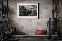 Image 2 of TRAPPER (25)