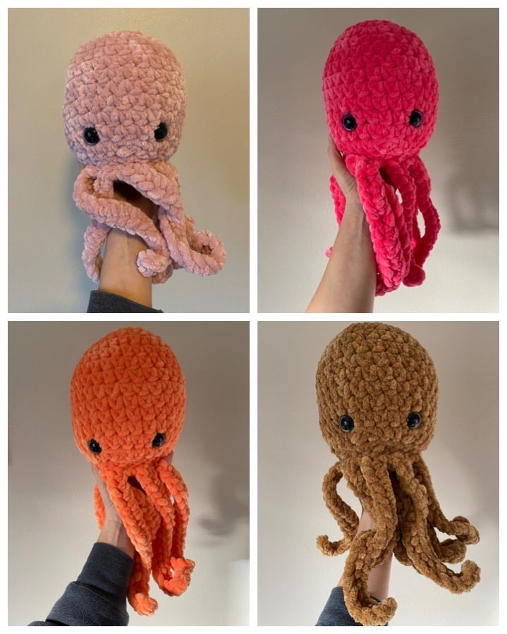 Octopi