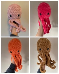 Image 2 of Octopi