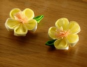 Image of Spring Blossom Hair Clips