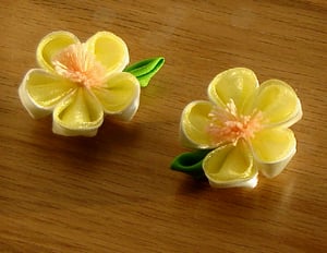 Image of Spring Blossom Hair Clips