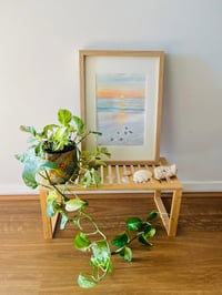 Image 3 of ORIGINAL “Hatchlings”