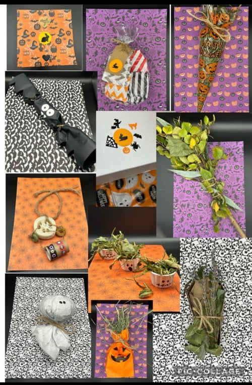 Image of October ‘SPOOKY Halloween’ enrichment toy and forage box