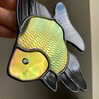 Image 4 of GOTH Ryukin Goldfish