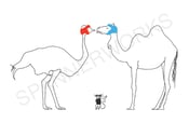 Image of 'Ostrich Vs Camel' A4 Print