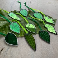 Image 1 of Laser Engraved Single Leaves