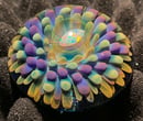Image 2 of Opal Basket Mini Paperweight / Pocket Stone 6