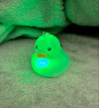 Image 4 of Light Ducky Stasher