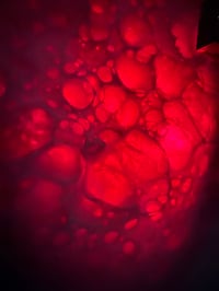 Image 2 of Wholesale Sensory Light In Bath Dust (300g)